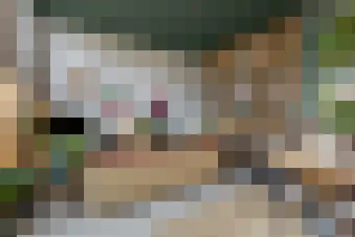 Akulaan 54 Ede thumbnail 19