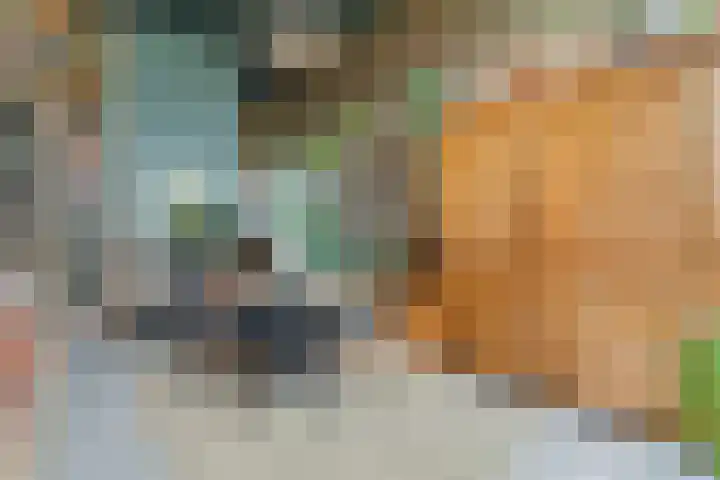 Akulaan 54 Ede thumbnail 22