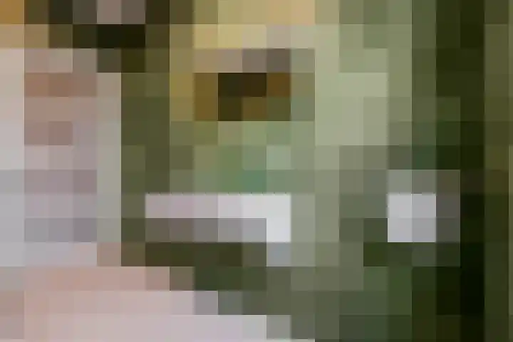 Akulaan 54 Ede thumbnail 29