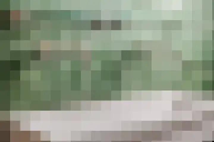 Akulaan 54 Ede thumbnail 31