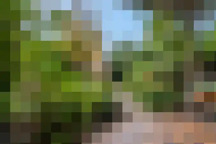Akulaan 54 Ede thumbnail 32