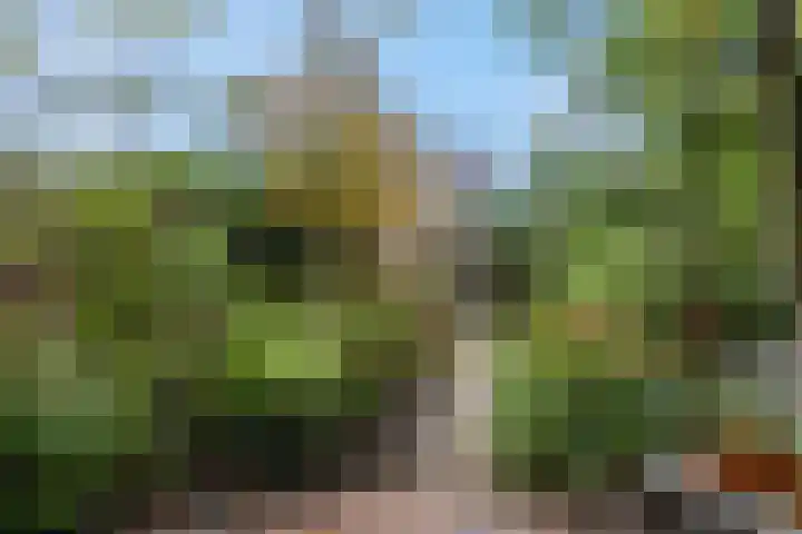 Akulaan 54 Ede thumbnail 33