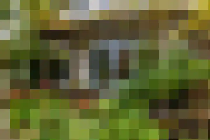 Akulaan 54 Ede thumbnail 34