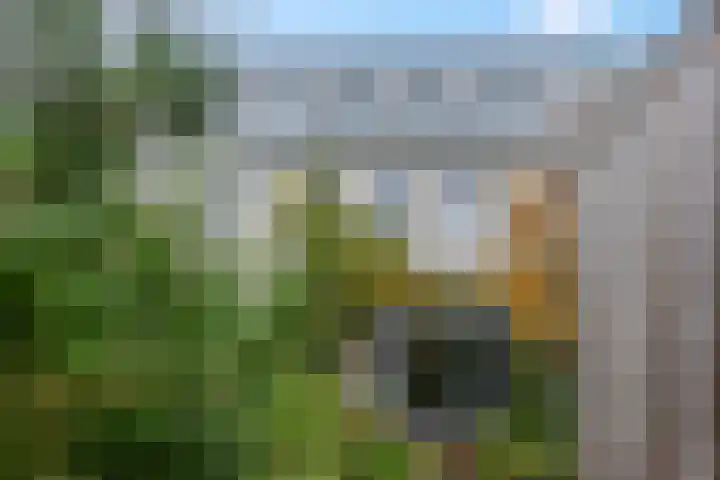 Akulaan 54 Ede thumbnail 35