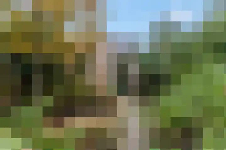 Akulaan 54 Ede thumbnail 36