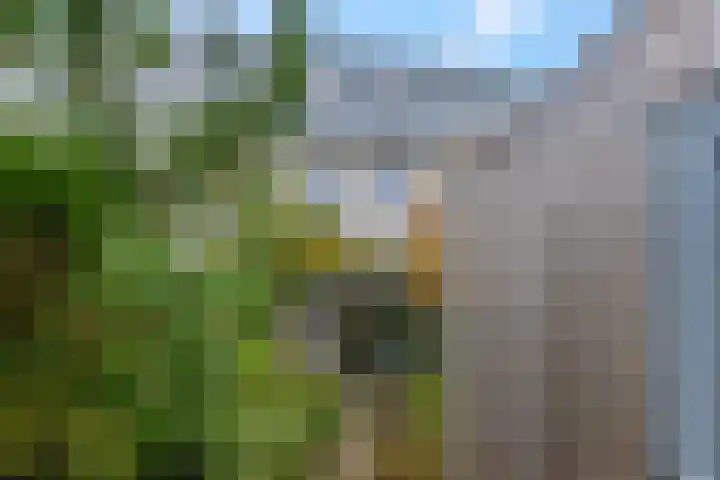 Akulaan 54 Ede thumbnail 37