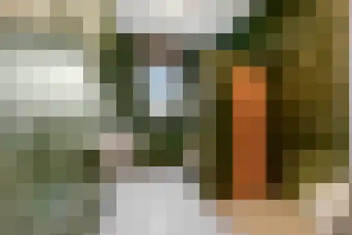 Akulaan 54 Ede thumbnail 4