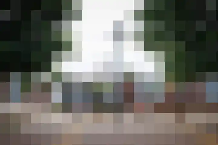 Akulaan 54 Ede thumbnail 43