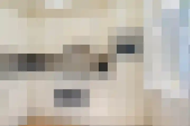 Aladnaweg 22 Aalten thumbnail 11