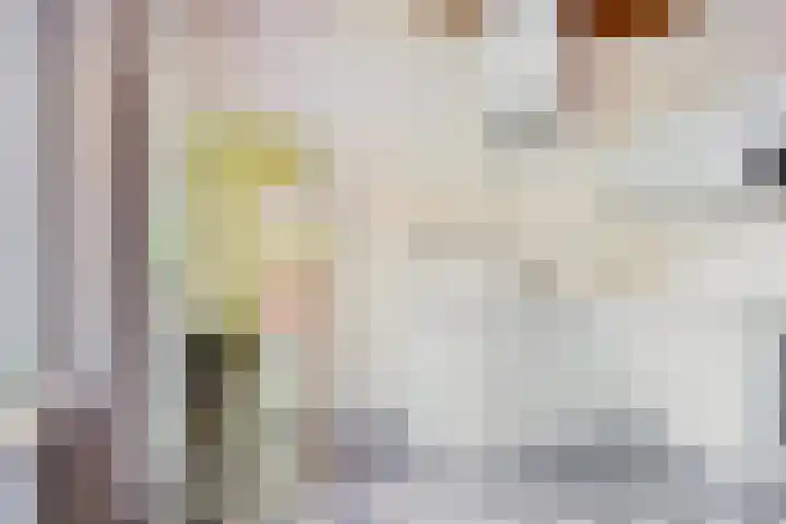 Aladnaweg 22 Aalten thumbnail 16