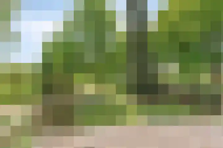 Aladnaweg 22 Aalten thumbnail 30