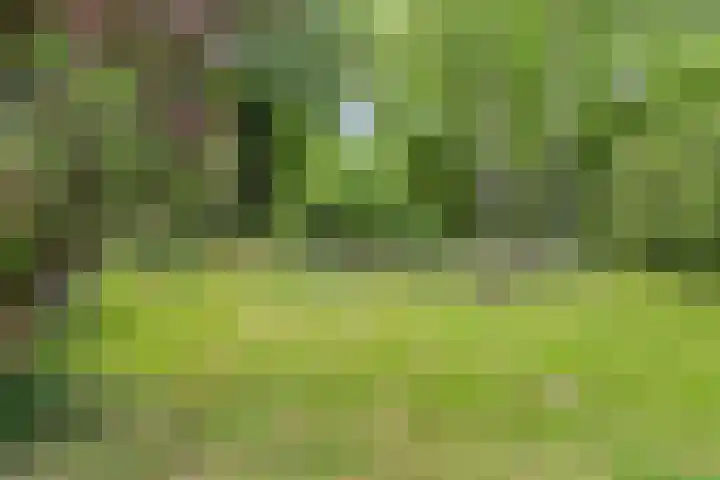 Aladnaweg 22 Aalten thumbnail 35