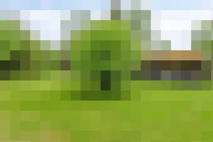 Aladnaweg 22 Aalten thumbnail 36