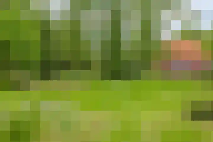 Aladnaweg 22 Aalten thumbnail 37