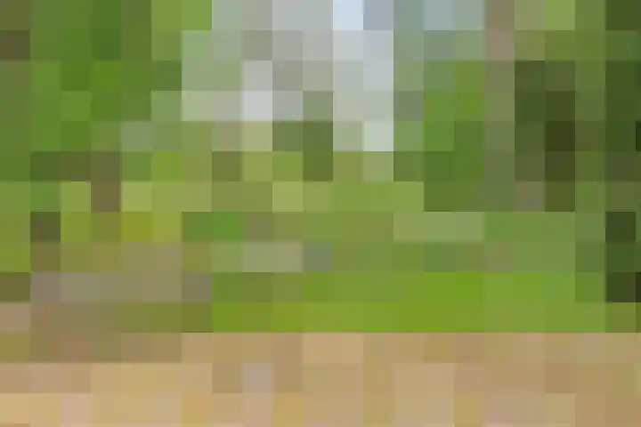 Aladnaweg 22 Aalten thumbnail 38