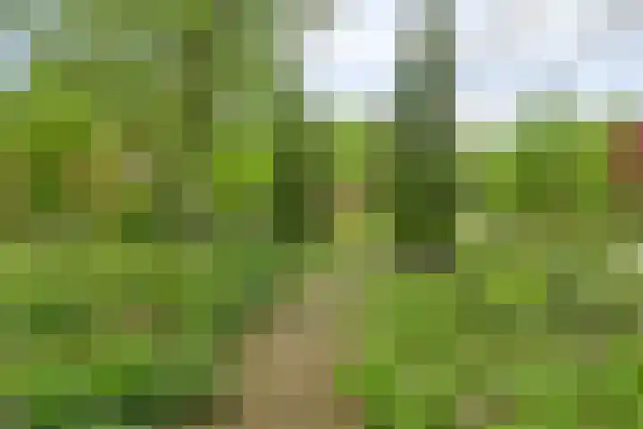 Aladnaweg 22 Aalten thumbnail 39