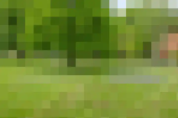 Aladnaweg 22 Aalten thumbnail 40