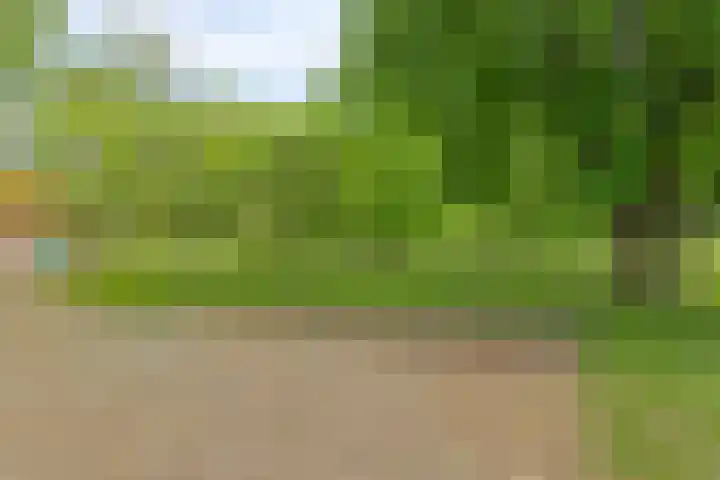 Aladnaweg 22 Aalten thumbnail 41