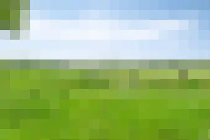Aladnaweg 22 Aalten thumbnail 45
