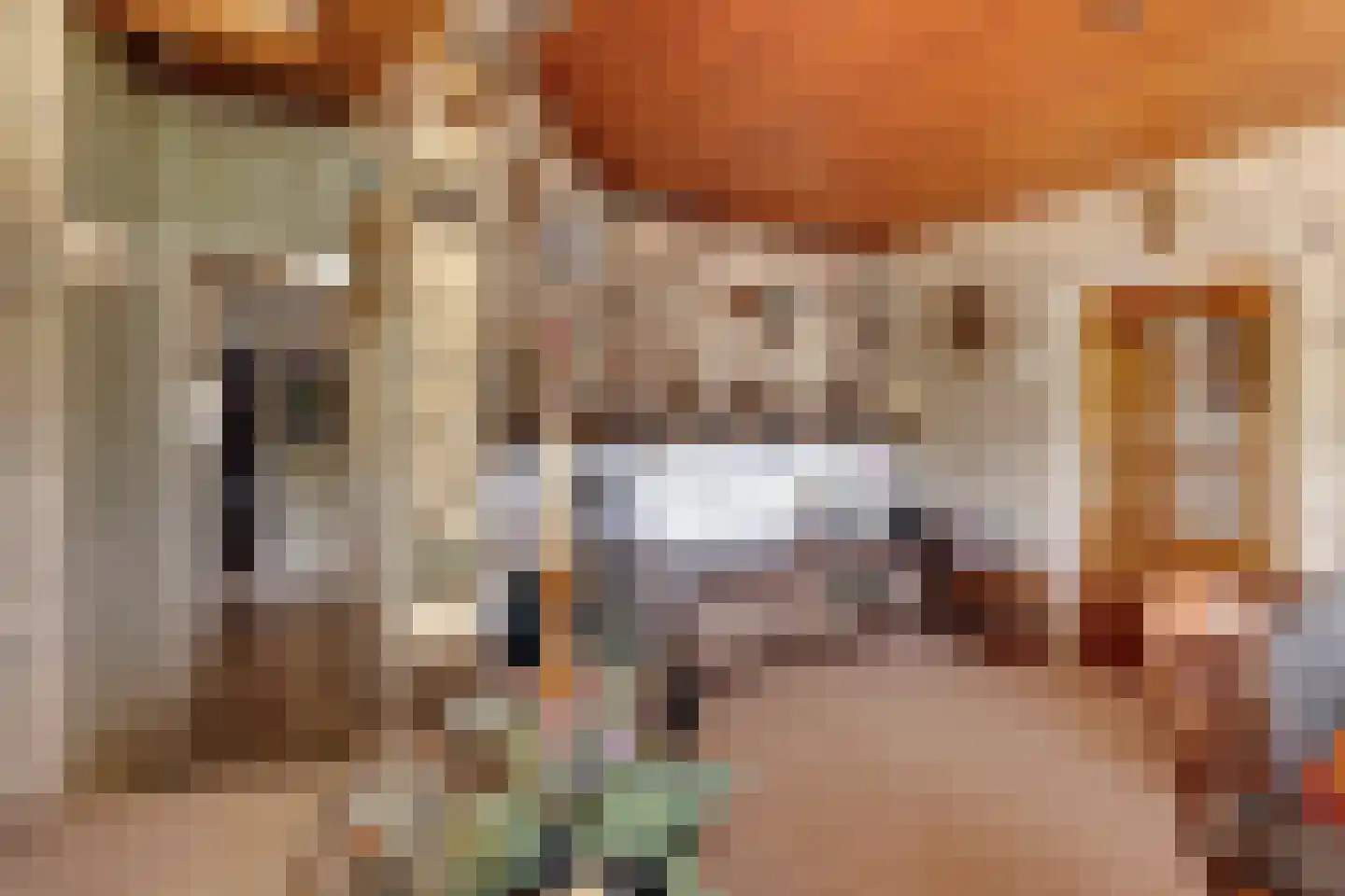 Aladnaweg 30 Aalten thumbnail 10