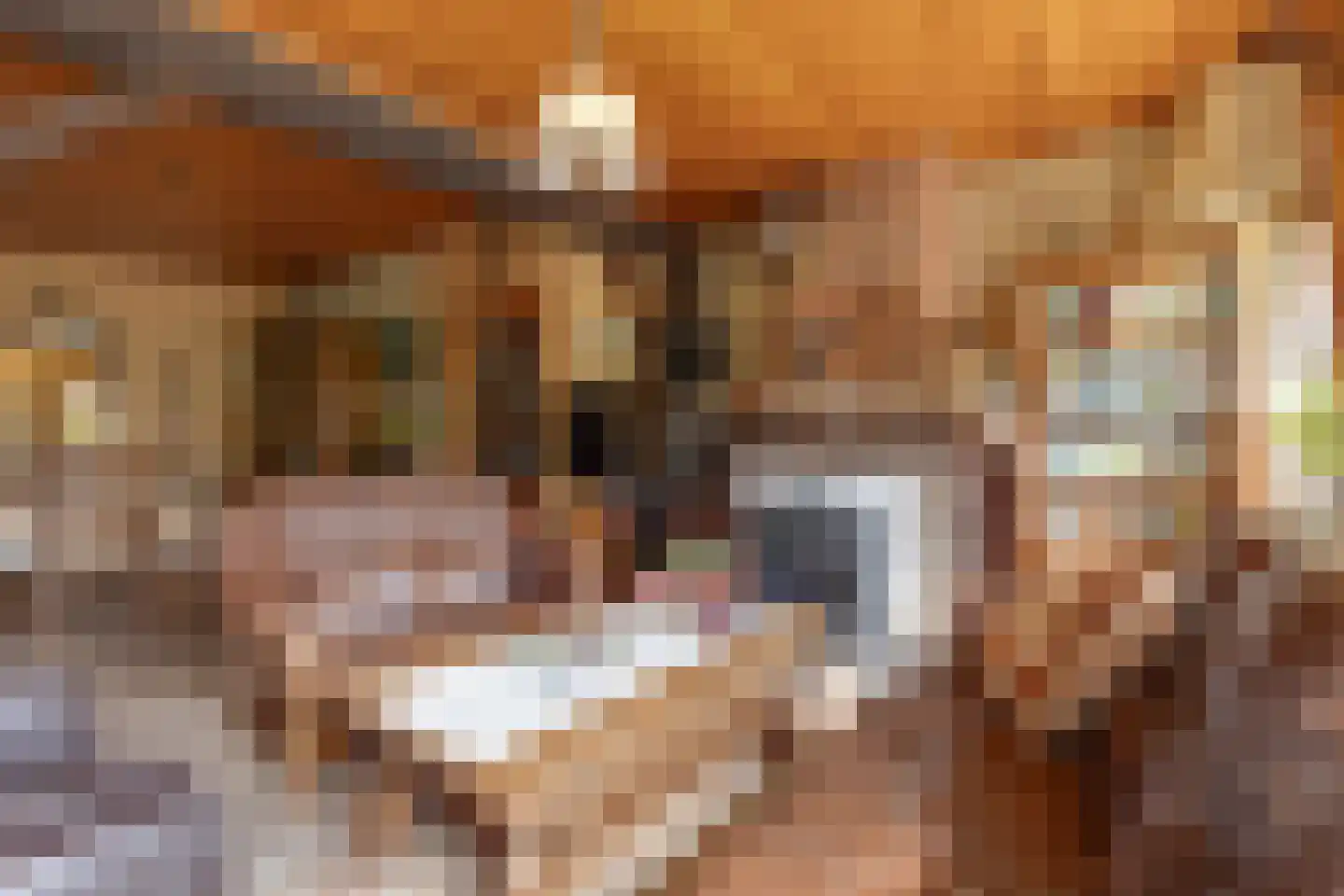 Aladnaweg 30 Aalten thumbnail 17