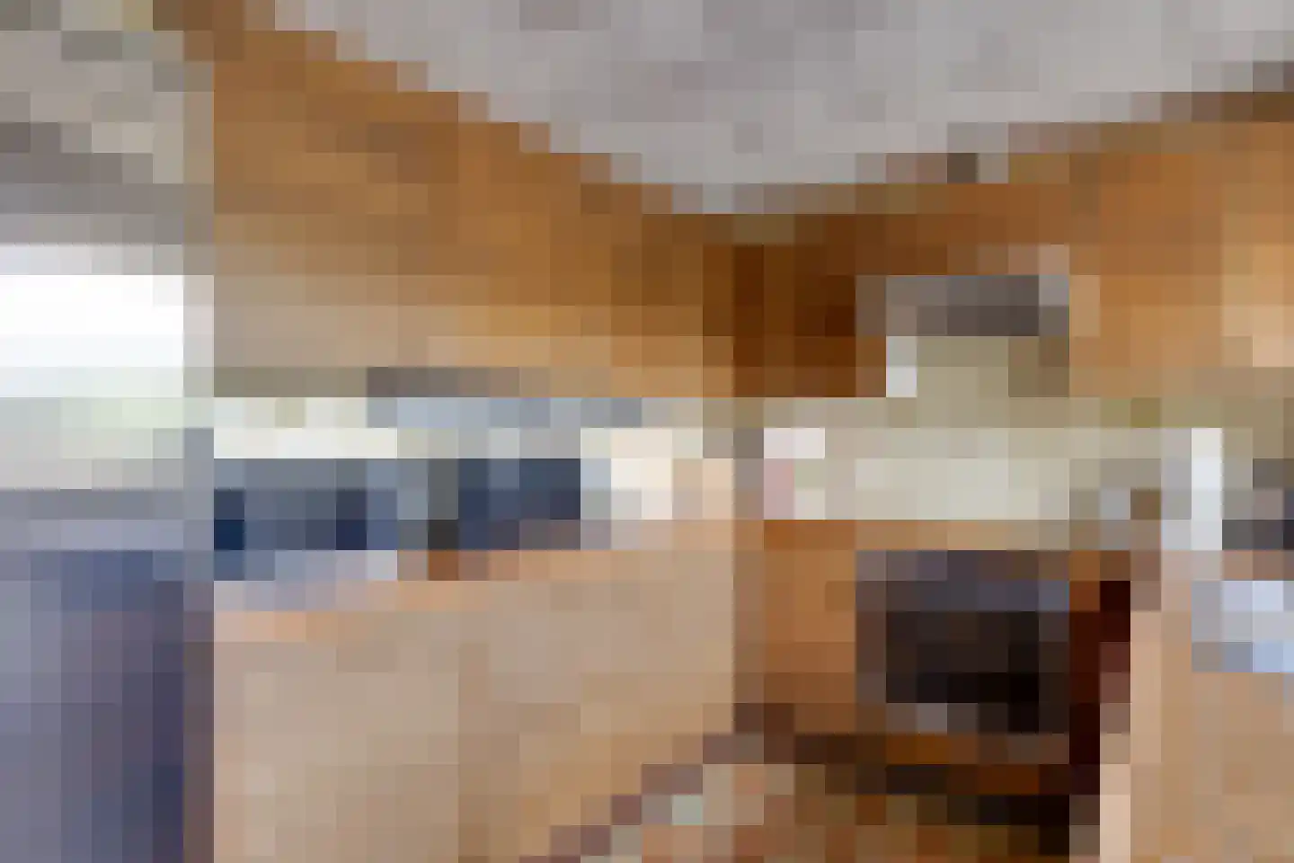 Aladnaweg 30 Aalten thumbnail 19