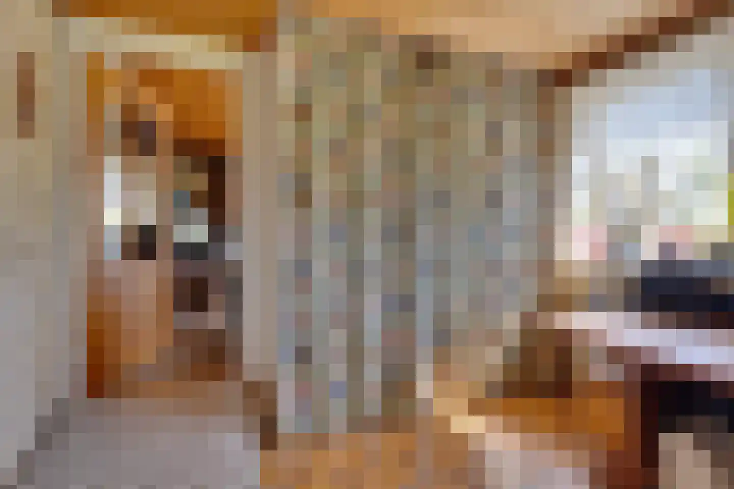 Aladnaweg 30 Aalten thumbnail 21