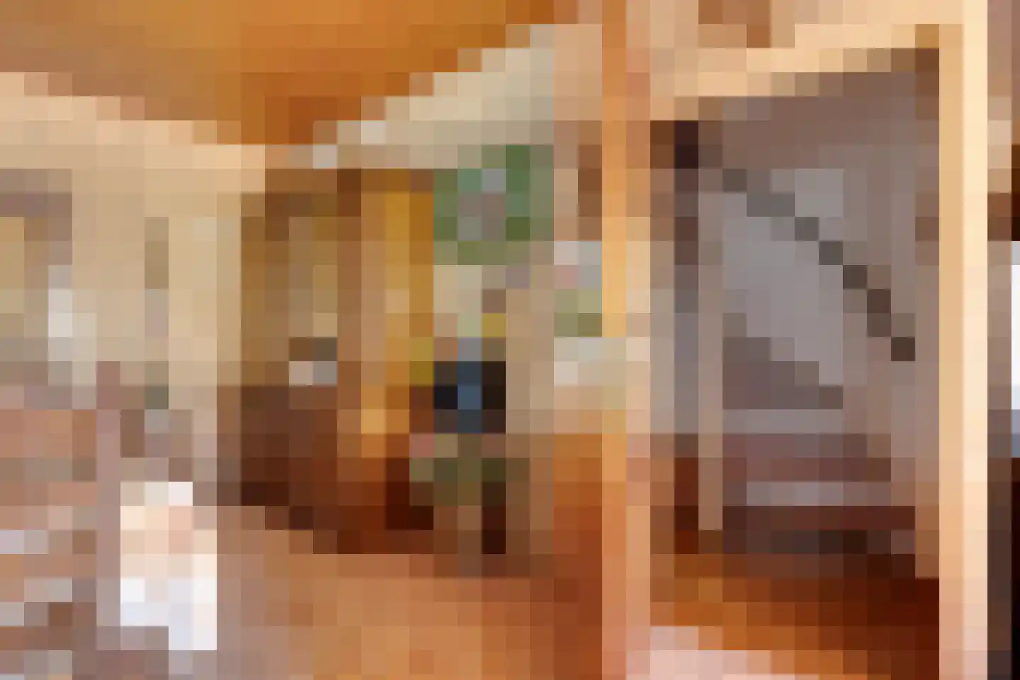 Aladnaweg 30 Aalten thumbnail 29