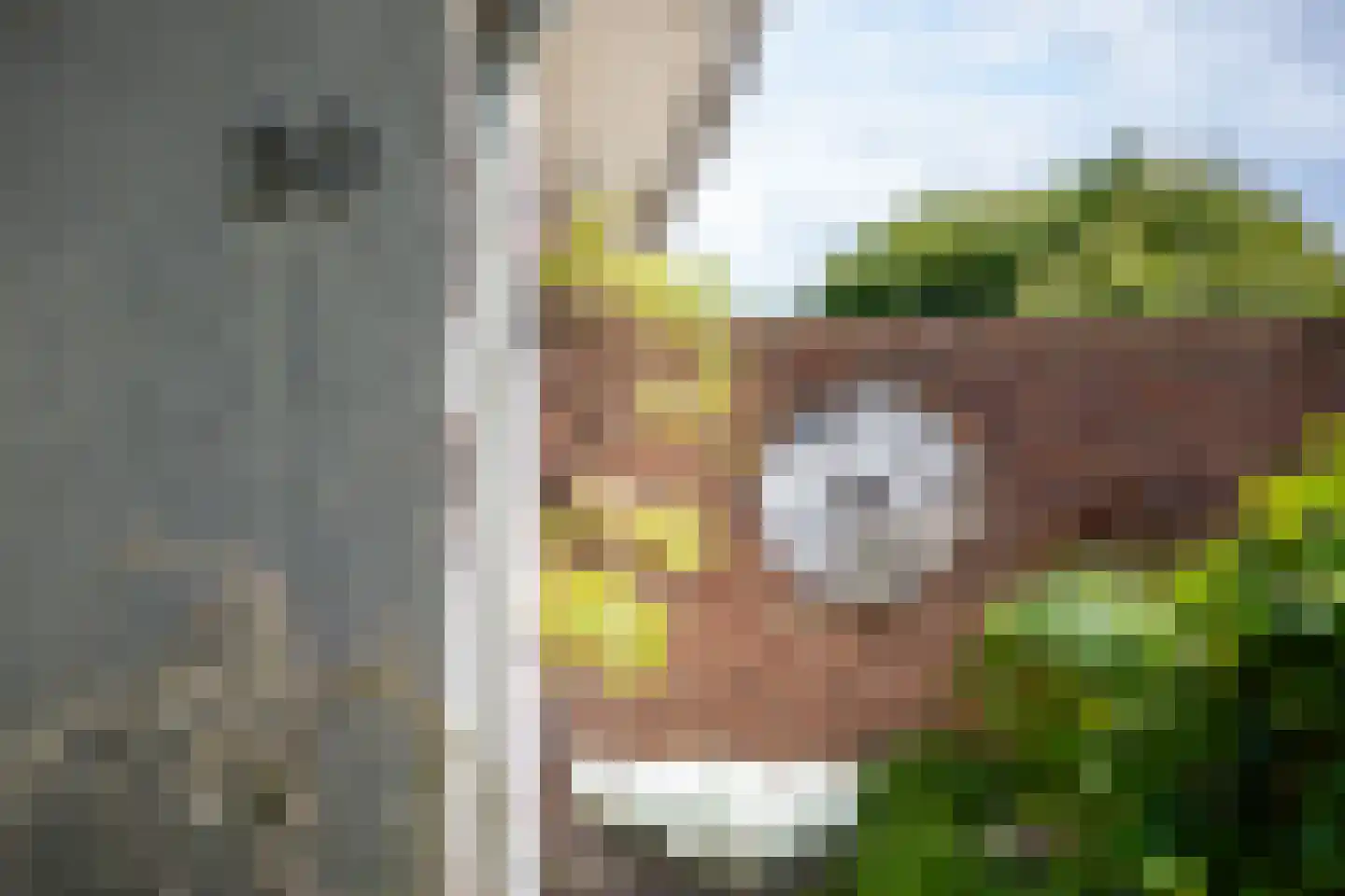 Aladnaweg 30 Aalten thumbnail 5