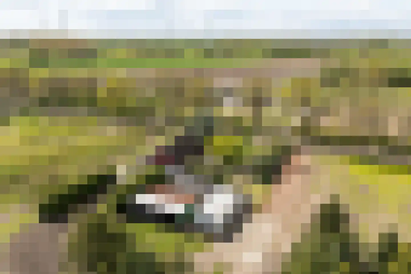 Aladnaweg 30 Aalten thumbnail 54