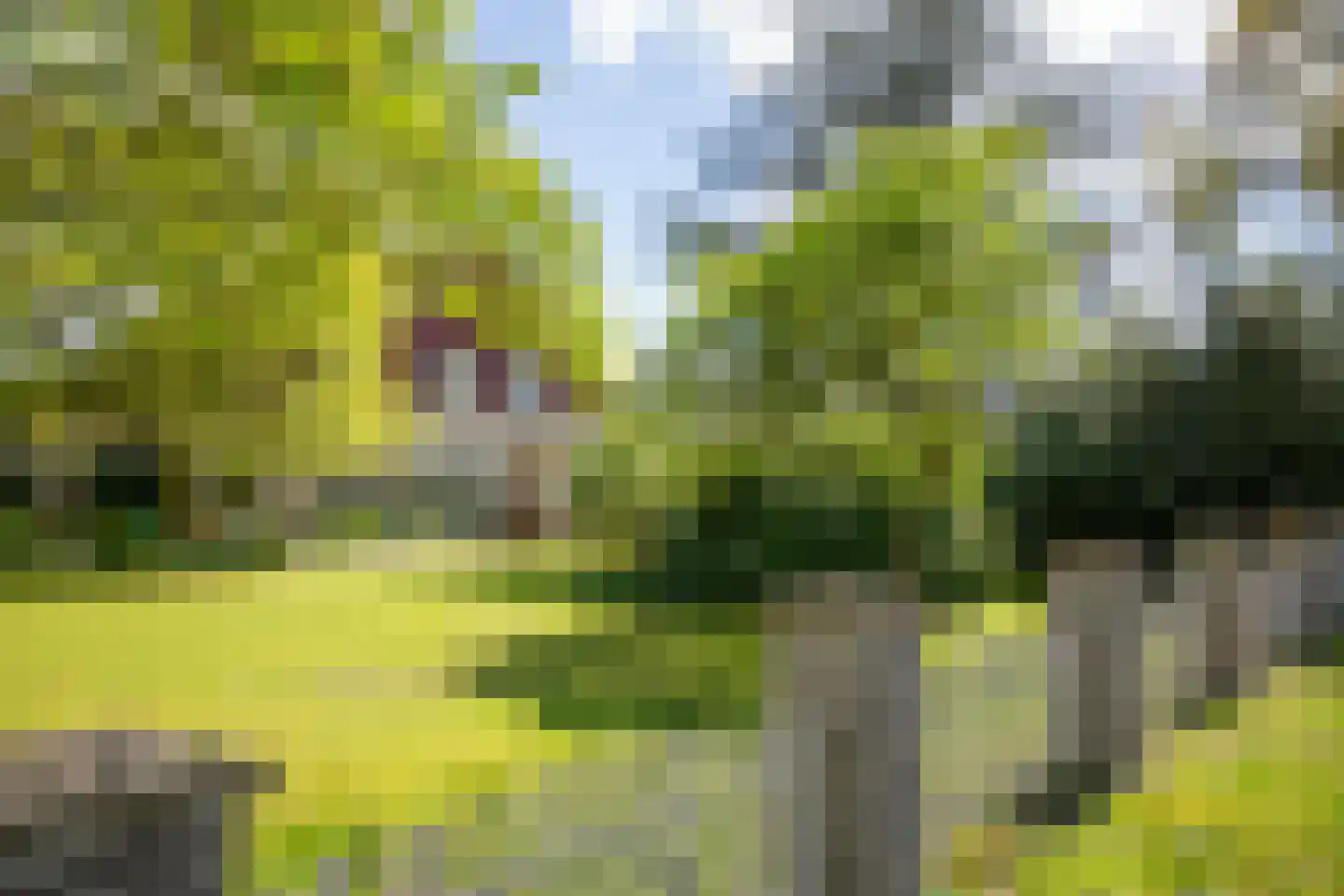 Aladnaweg 30 Aalten thumbnail 60