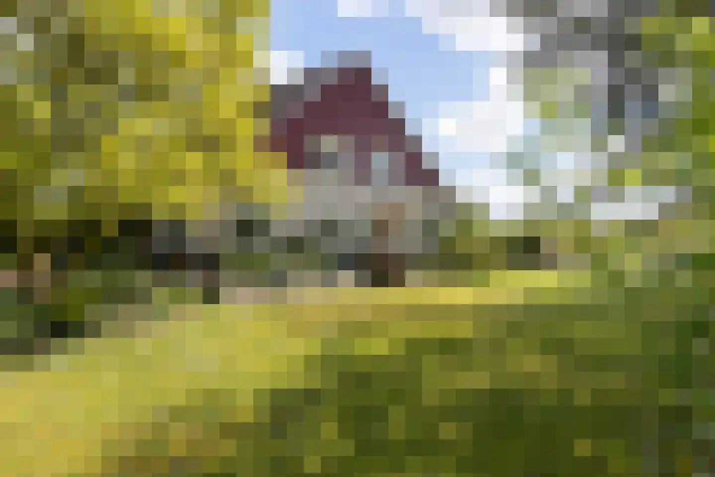 Aladnaweg 30 Aalten thumbnail 62