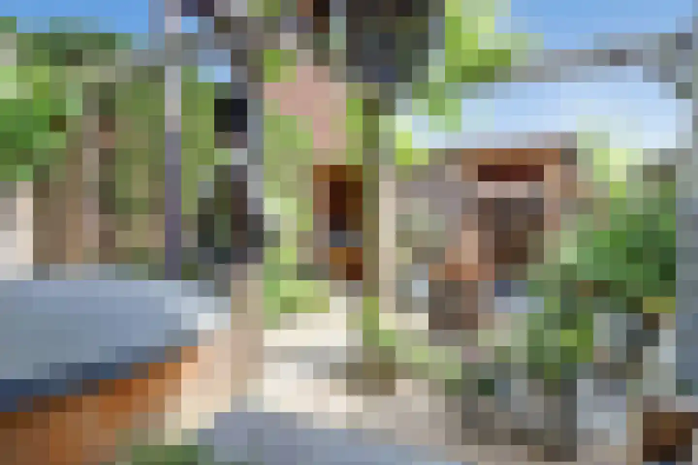 Alainweg 19 Spijkenisse thumbnail 12