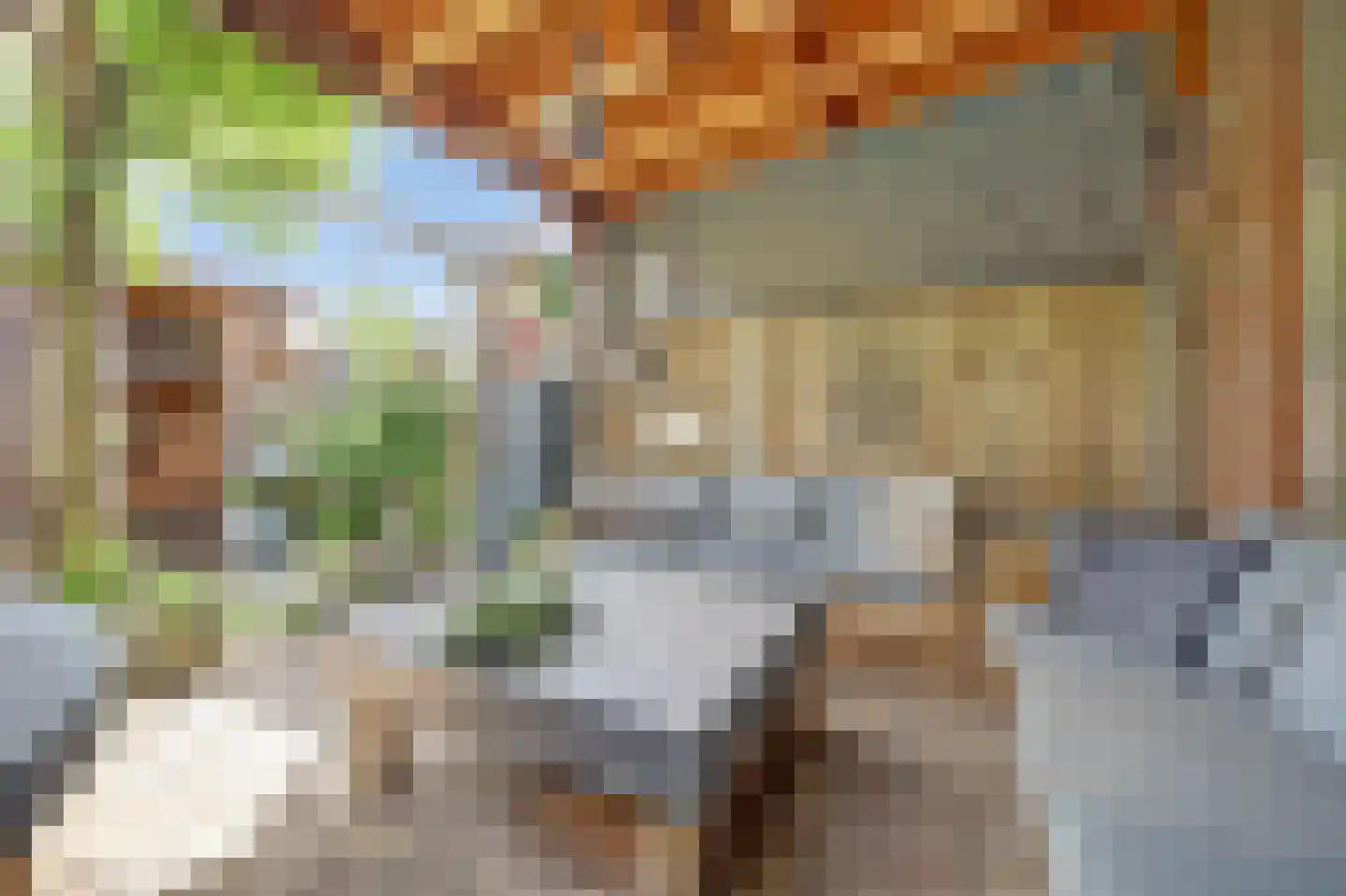 Alainweg 19 Spijkenisse thumbnail 14