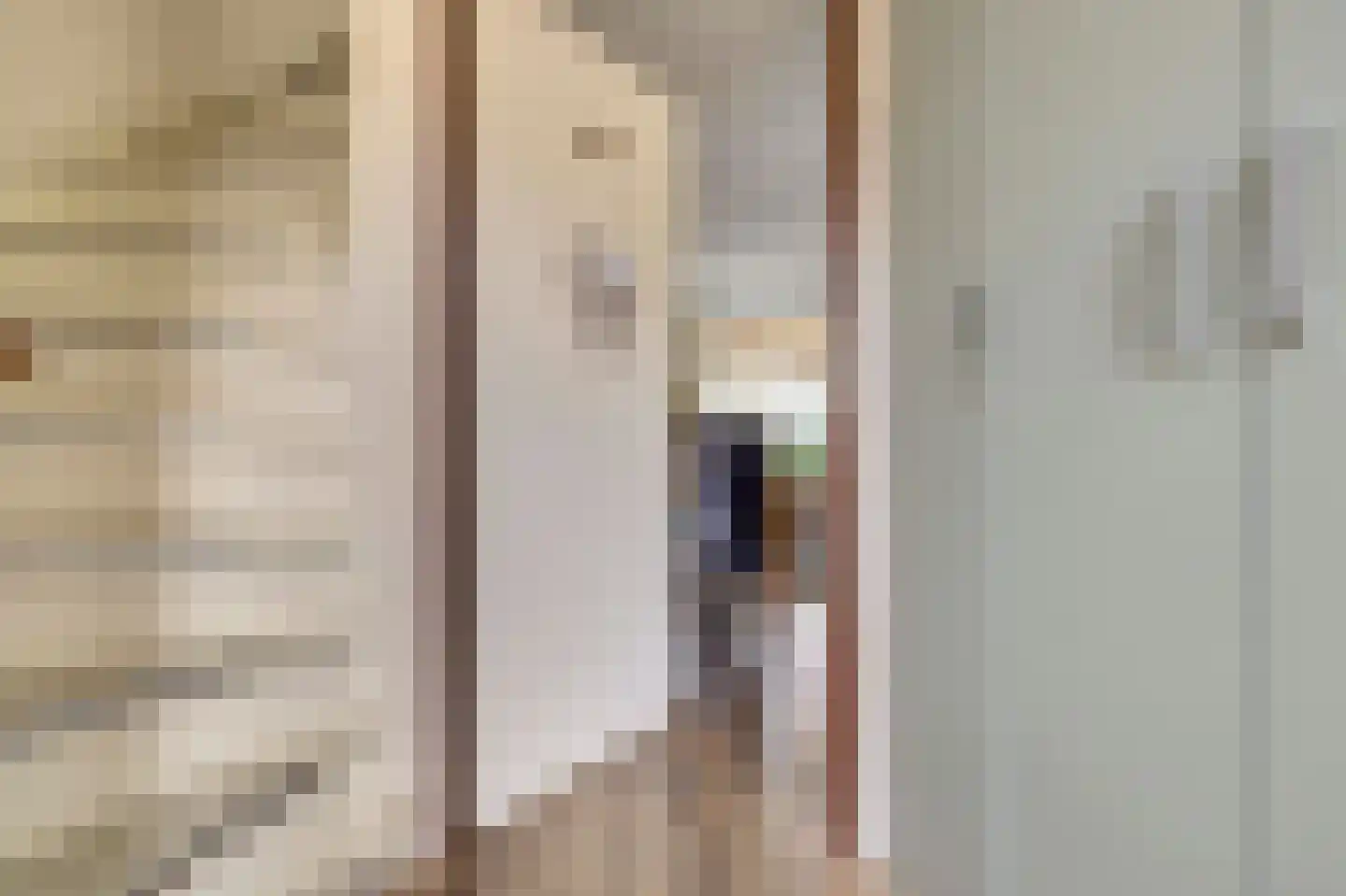 Alainweg 19 Spijkenisse thumbnail 16