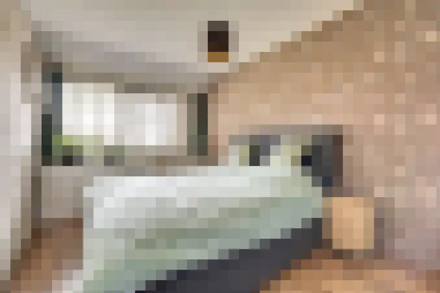 Alainweg 19 Spijkenisse thumbnail 22