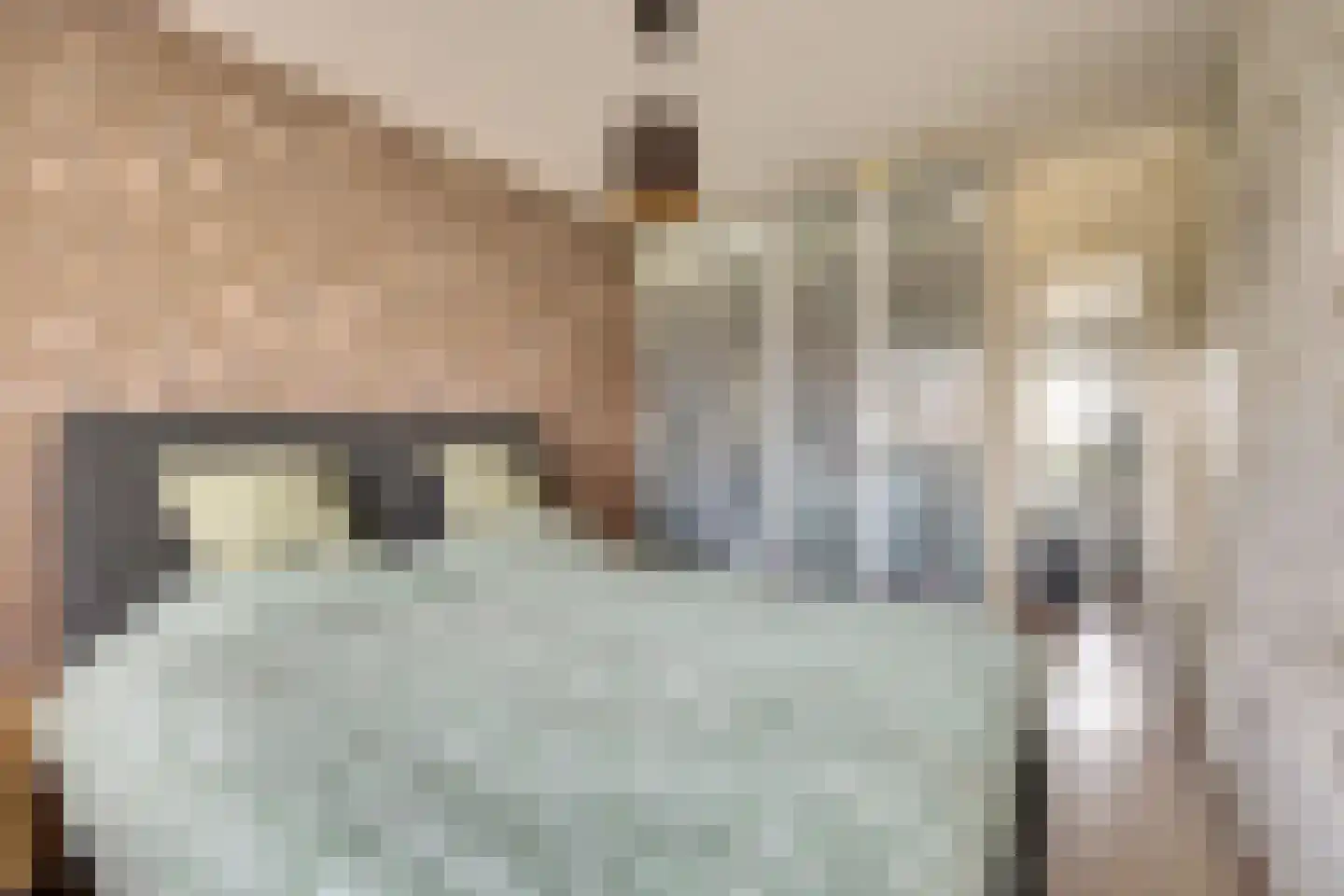 Alainweg 19 Spijkenisse thumbnail 23