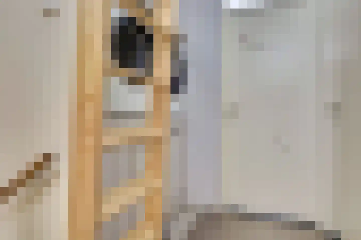 Alainweg 19 Spijkenisse thumbnail 27