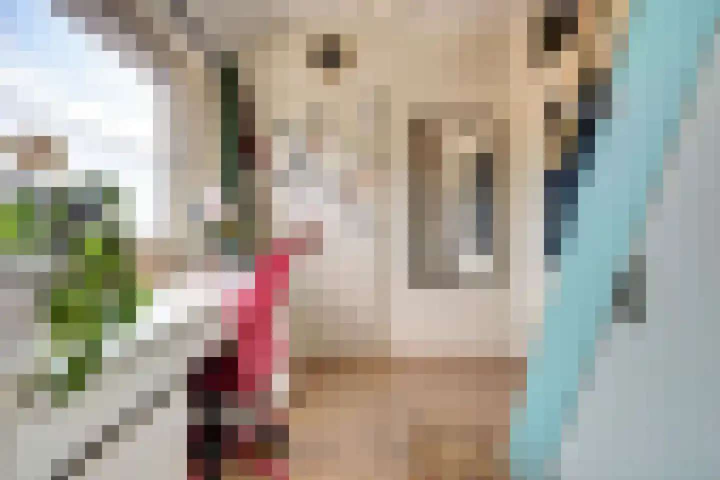 Alainweg 19 Spijkenisse thumbnail 29