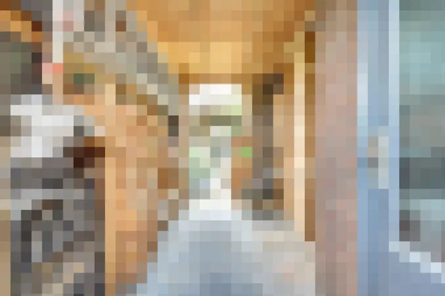 Alainweg 19 Spijkenisse thumbnail 34
