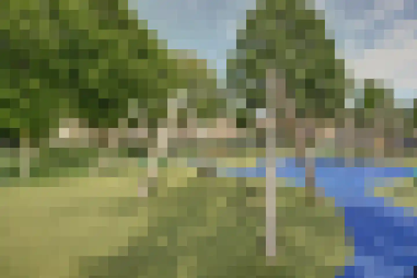 Alainweg 19 Spijkenisse thumbnail 38