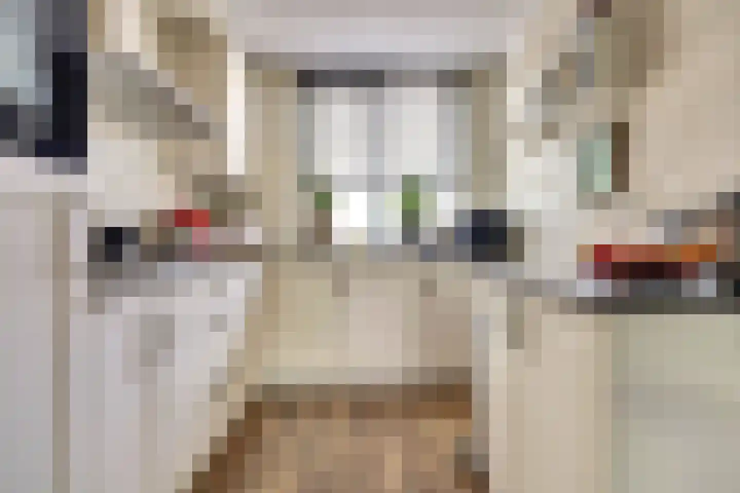 Alainweg 19 Spijkenisse thumbnail 7