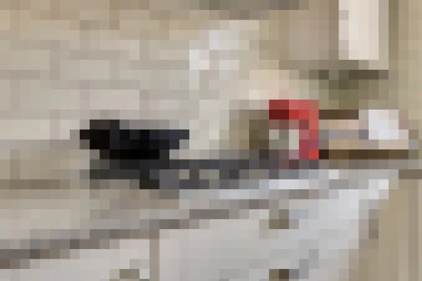 Alainweg 19 Spijkenisse thumbnail 8