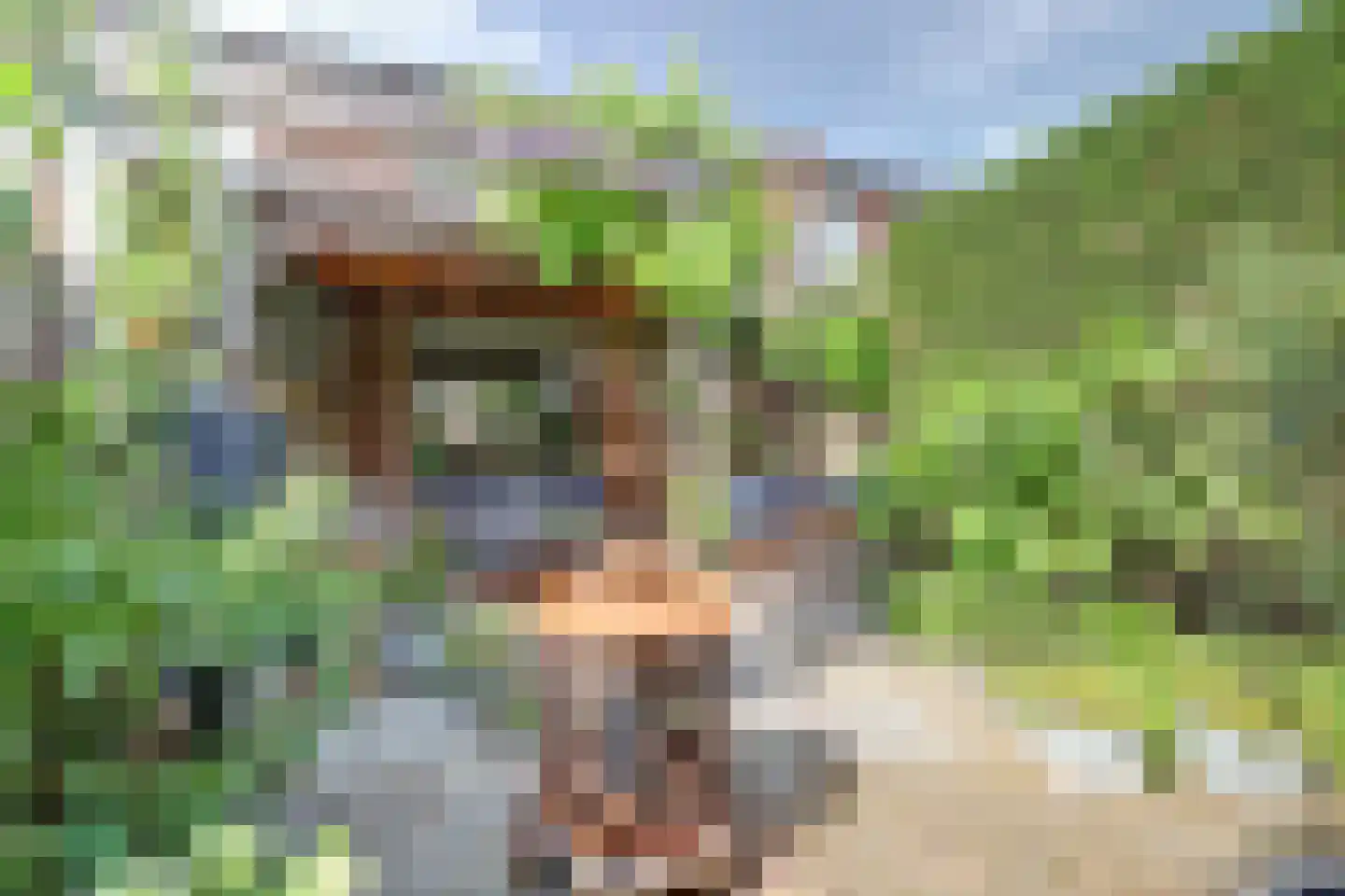 Alainweg 19 Spijkenisse thumbnail 9