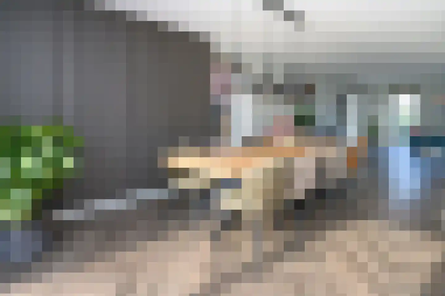 Alant 4 Brummen thumbnail 10