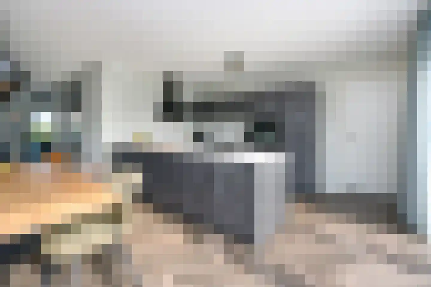 Alant 4 Brummen thumbnail 11