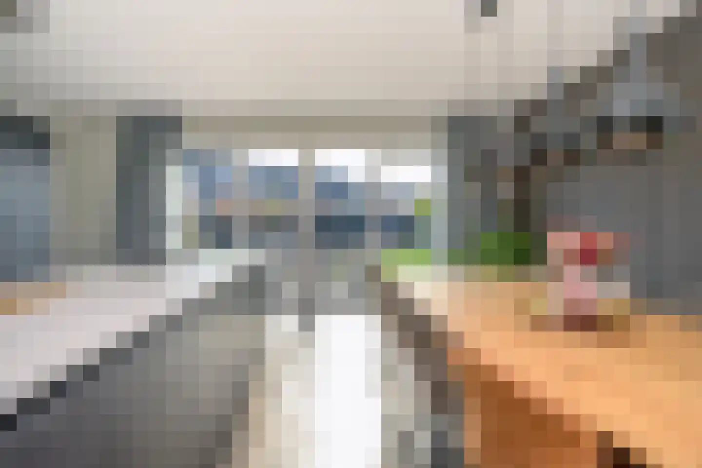 Alant 4 Brummen thumbnail 12