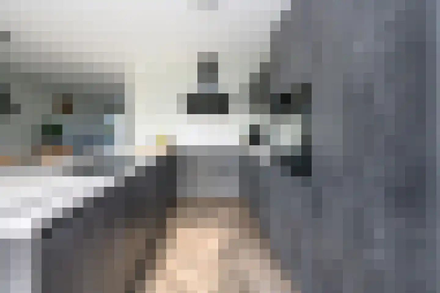 Alant 4 Brummen thumbnail 13