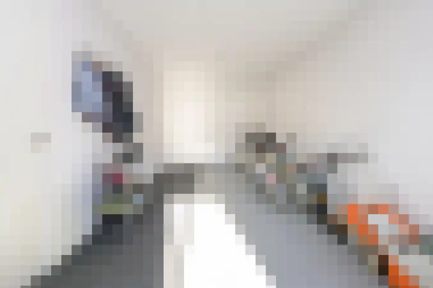 Alant 4 Brummen thumbnail 14