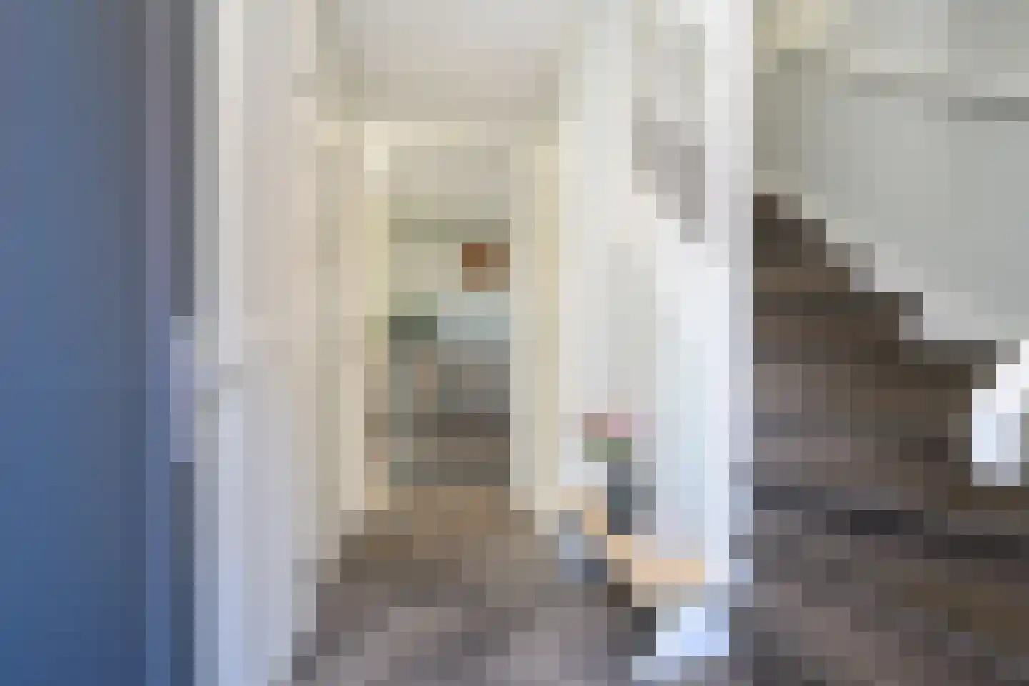 Alant 4 Brummen thumbnail 16
